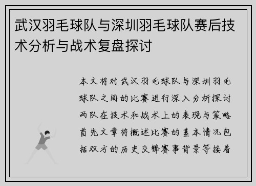 武汉羽毛球队与深圳羽毛球队赛后技术分析与战术复盘探讨